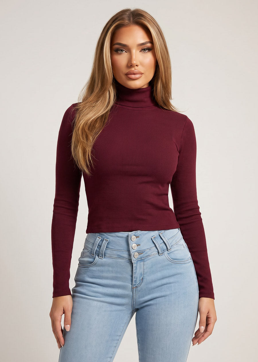 Long Sleeve Stretch Ribbed Turtleneck Top Burgundy