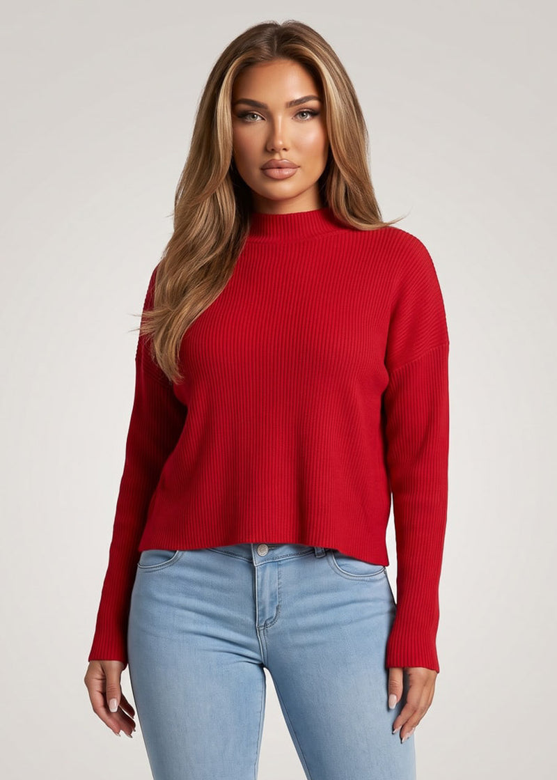 Mock Neck Long Sleeve Hacci Ribbed Sweater Top Red