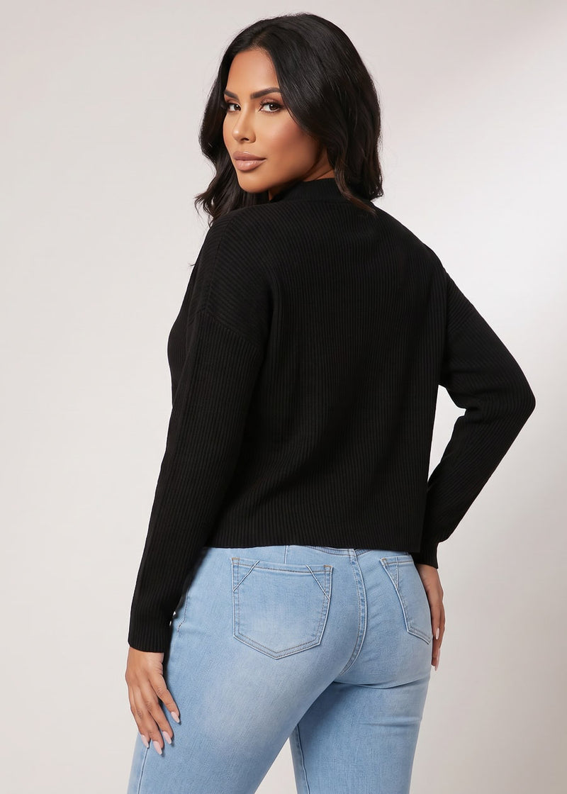 Mock Neck Long Sleeve Hacci Ribbed Sweater Top Black