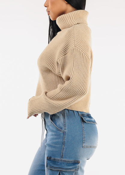 Long Sleeve Turtleneck Sweater Oatmeal